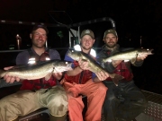 DEC.Walleye-1
