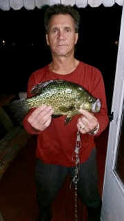 15" Crappie-off the end of our dock