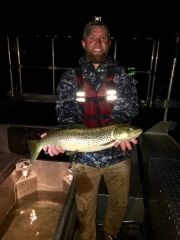 Trout