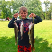 Walleye.Linc_.2-1