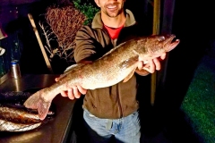 Walleye.Dave_-1